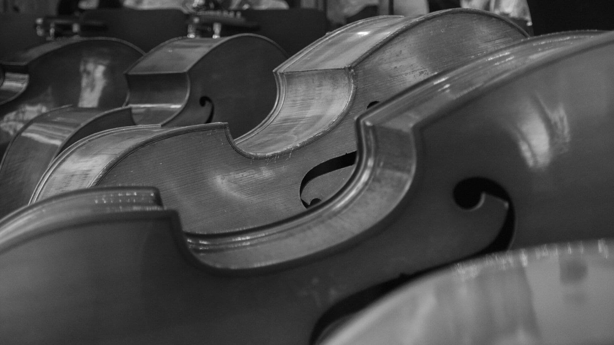 Frühlingskonzerte 2018 12