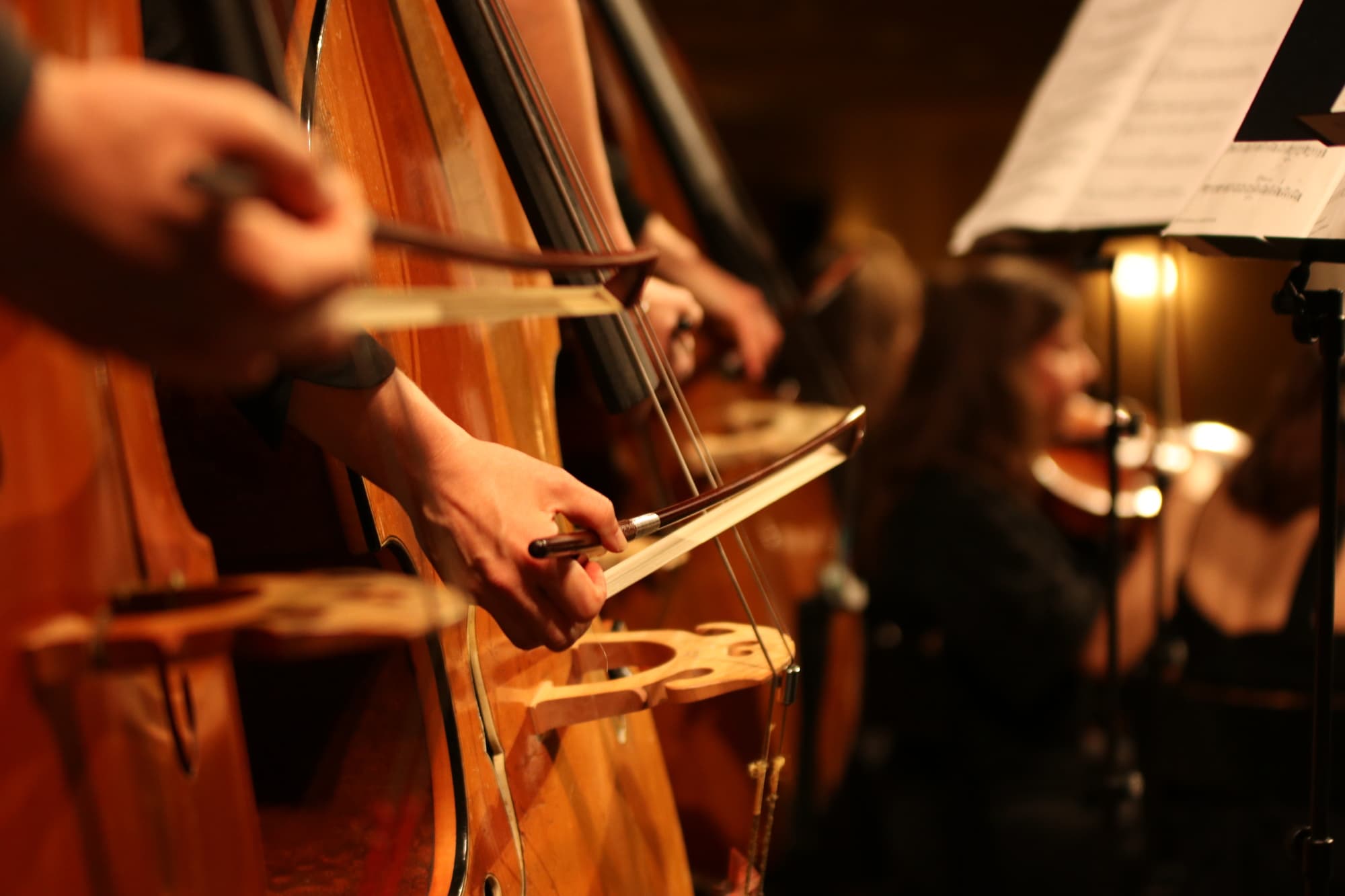 Frühlingskonzerte 2023 16